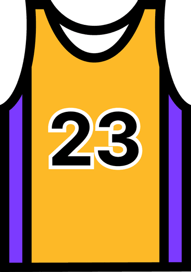 LeBron Jersey